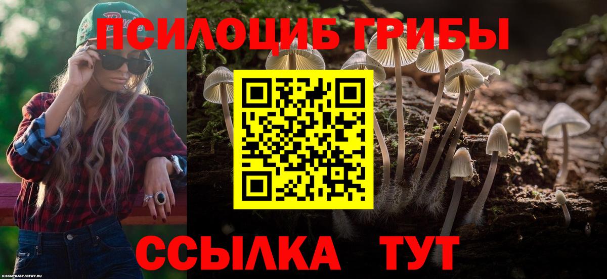 Псилоцибиновые грибы прущие грибы  купить закладку  Янаул  Вход с VPN 